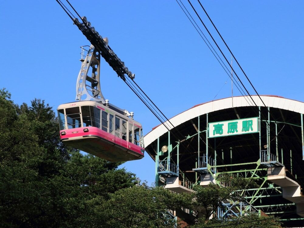 観光スポット