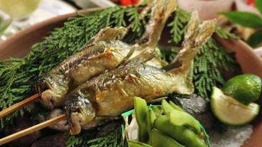 食事・飲み物 / 33