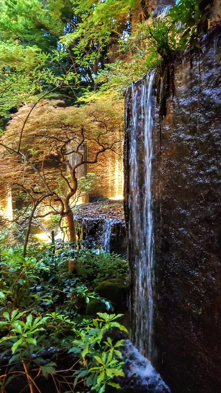 館内には滝も池も