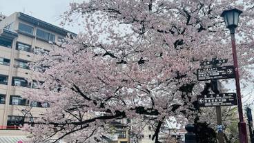 シティ ビュー / 11