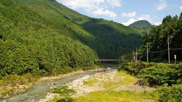 ランド ビュー / 3