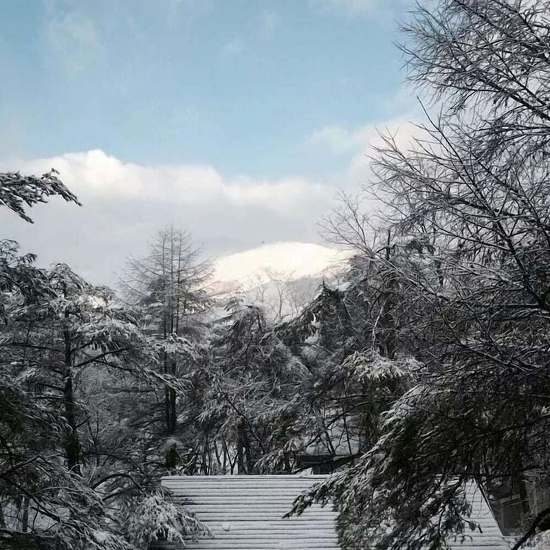 マウンテン ビュー