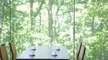 レストラン / 11