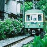 カップルのデートはここへ行こう♡鎌倉のおすすめ観光スポット10選【神奈川県】