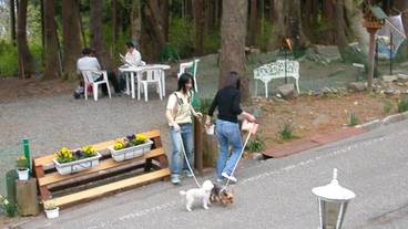 施設からの眺望 / 7