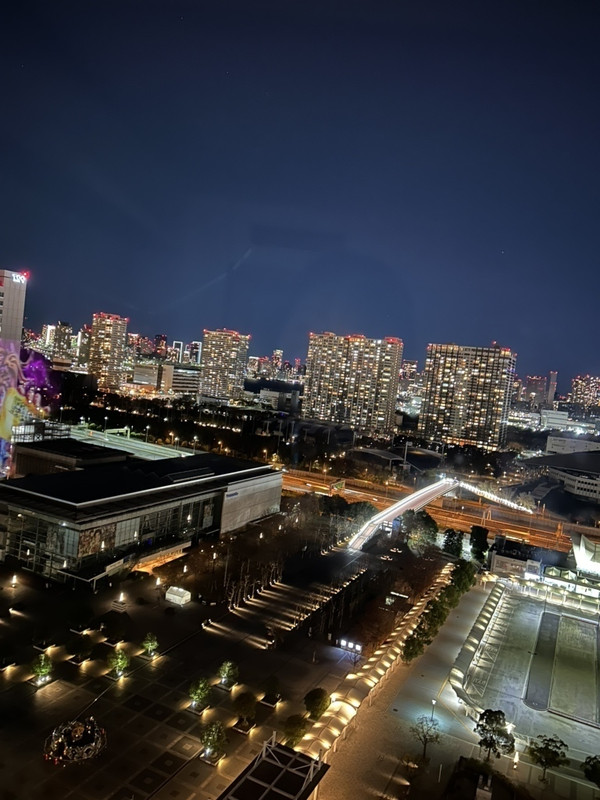 東京のビル群が見える