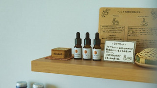 特別室(ハリウッドツイン) 禁煙 / 60平米