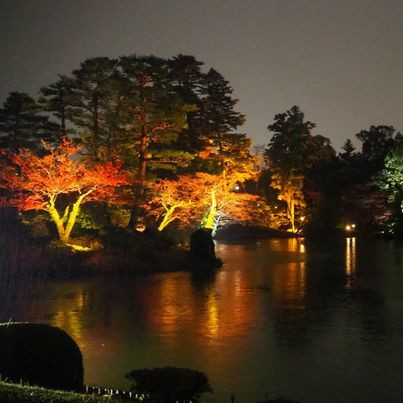 hatosabukoさんの写真 / 3