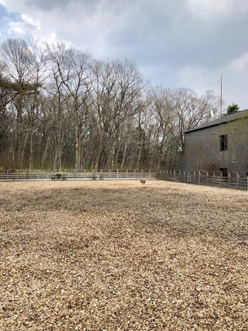 全室OK！愛犬用フルコースディナーまで選択可♡3925909