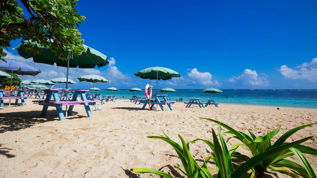 ああ、南国の香り
胸高まるリゾート / 3