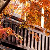 黒川温泉 歴史の宿 御客屋（熊本県 旅館） / 3
