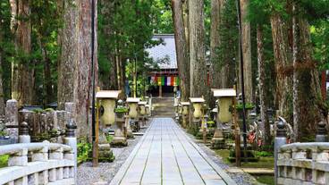 メイン イメージ / 1