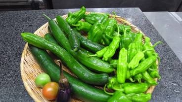 食事・飲み物 / 2