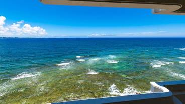 部屋からの景観 / 28