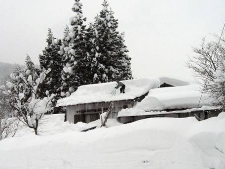 宿Cafeレンタル 小左ェ門 / 3