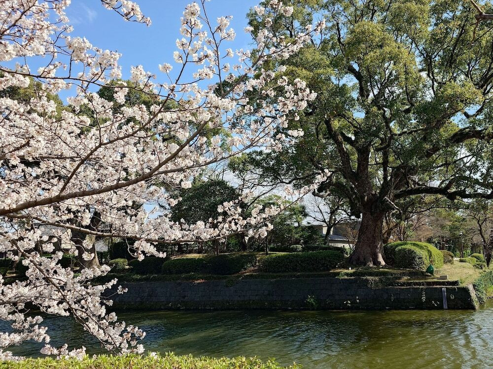 ランド ビュー