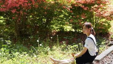 施設からの眺望 / 19