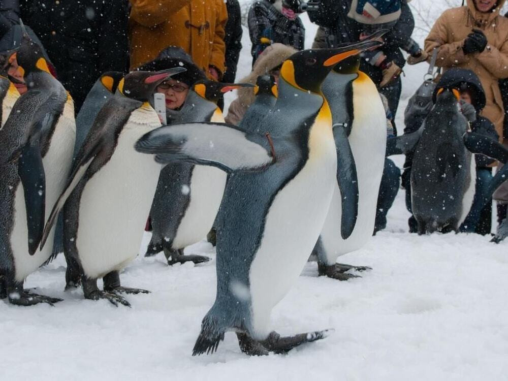 フィットネス設備