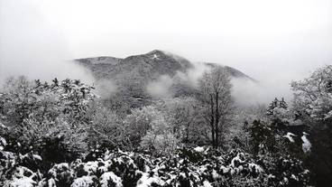 施設からの眺望 / 17