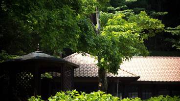 施設の敷地 / 14