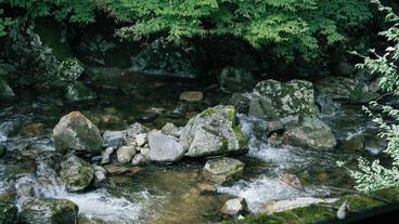 テラス / パティオ / 8