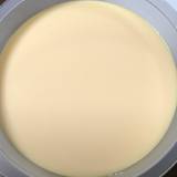 元祖プリン屋 道頓堀店(ガンソプリンヤ)