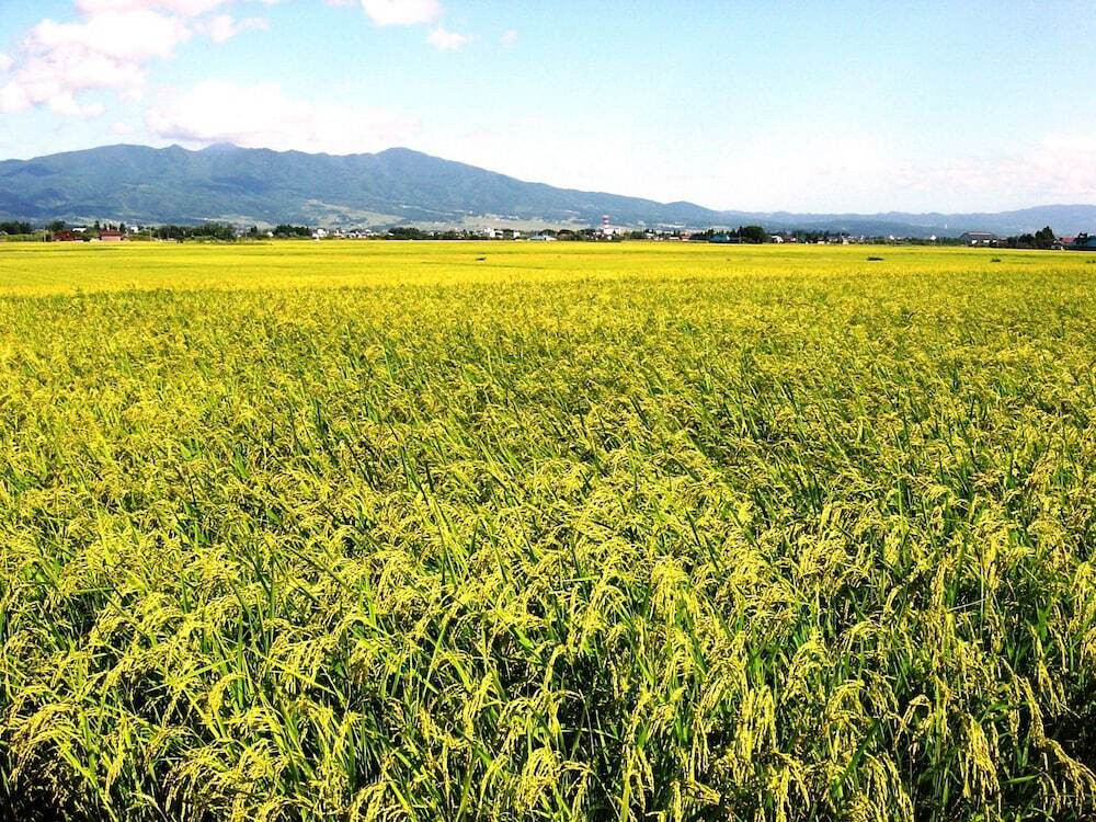 マウンテン ビュー