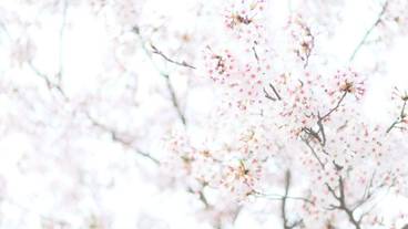 施設からの眺望 / 16