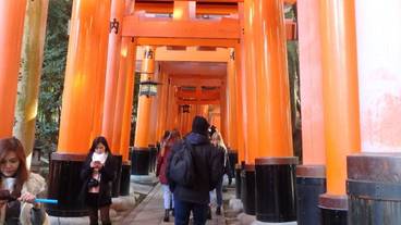 観光スポット / 36