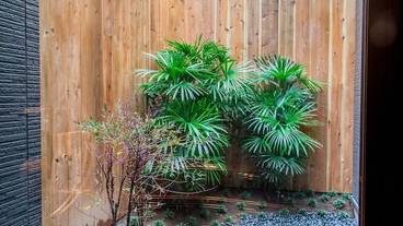 ガーデン ビュー / 6