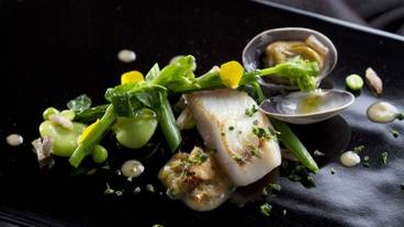 夕食／北海道フレンチ一例① / 1