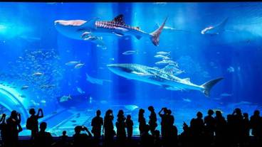 観光スポット / 1