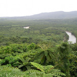 【沖縄】初めての西表島・おすすめ観光スポット～亜熱帯雨林の島でジャングル探検