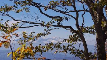 シティ ビュー / 27