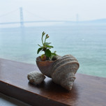 海を眺めてまったりランチ♡神戸のカフェ「フィエスタ」
