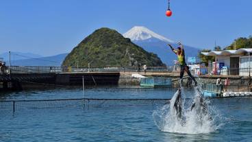 観光スポット / 10