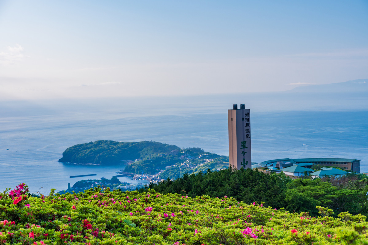 星ヶ山公園 さつきの郷