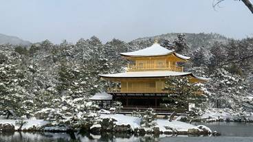 観光スポット / 12