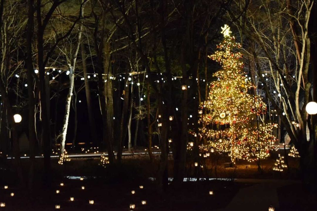 nana_57313さんの写真 / 3