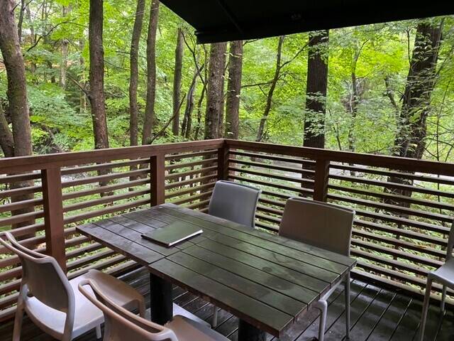 「ハルニレテラス」で
蕎麦ランチ / 3