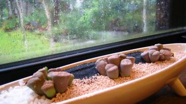 部屋からの景観 / 18