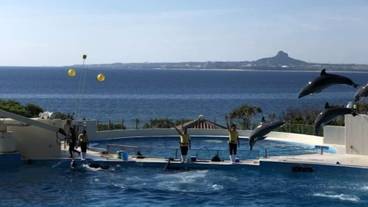 観光スポット / 6