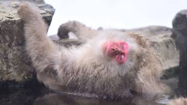 観光スポット / 11