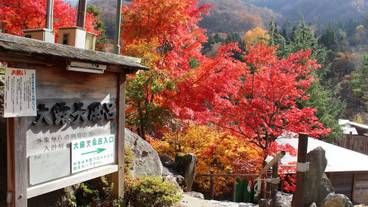 マウンテン ビュー / 25