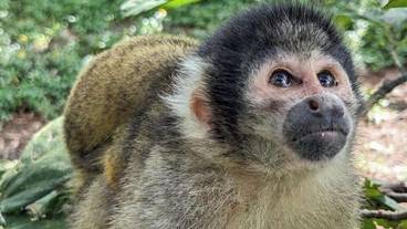 観光スポット / 17