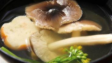 食事・飲み物 / 16