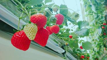 子供用の遊び場 - 屋外 / 4