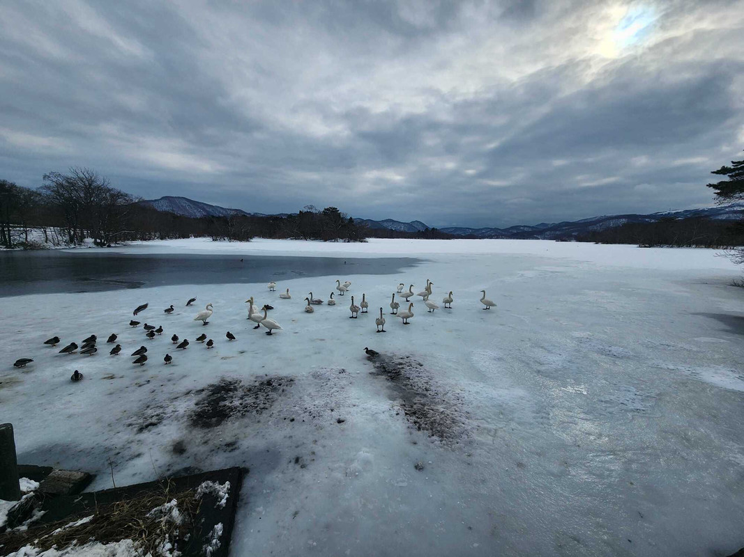 icotto_machicoさんの写真 / 2