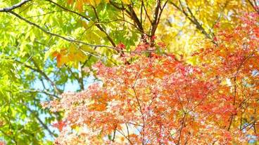 施設からの眺望 / 20