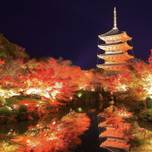 秋におすすめ！京都駅周辺の観光スポット9選｜紅葉やイチョウ、パワースポット♩